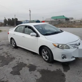 Toyota Corolla 2011