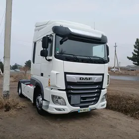 DAF 480 2019