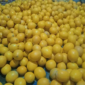 limon