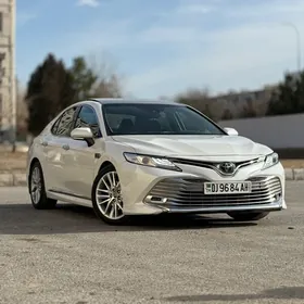 Toyota Camry 2019