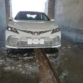 Toyota Camry 2019