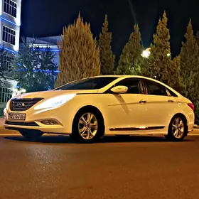 Hyundai Sonata 2010