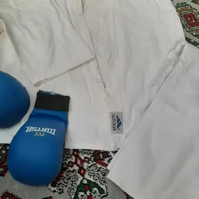 Karate esikleri