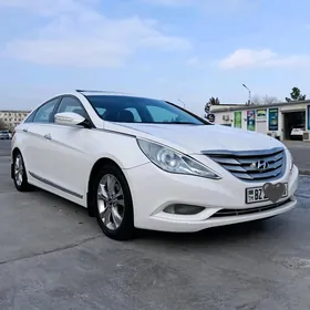 Hyundai Sonata 2010