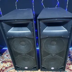 GOŞA SREDNYI PEAVEY  sp4