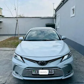 Toyota Camry 2019