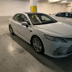 Toyota Camry 2019