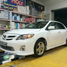 Toyota Corolla 2011