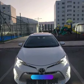 Toyota Corolla 2019