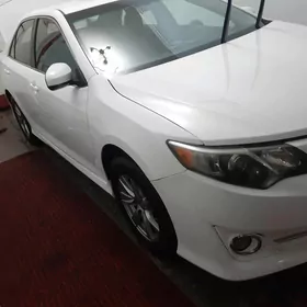 Toyota Camry 2013