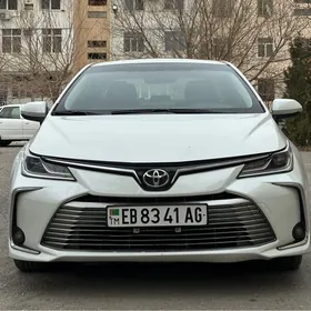 Toyota Corolla 2019