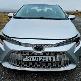 Toyota Corolla 2020