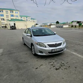 Toyota Corolla 2008