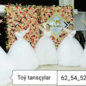 Tanscylar