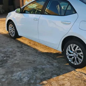 Toyota Corolla 2019