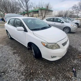 Toyota Corolla 2010