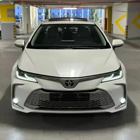 Toyota Corolla 2023