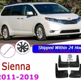 Sienna 11 16 brazgawyk