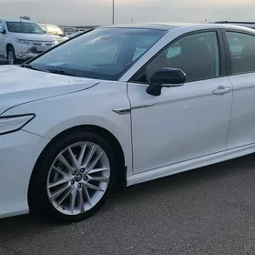 Toyota Camry 2019