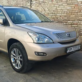 Lexus RX 330 2004