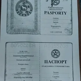 PASPORT ÝITDI