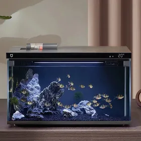 Mi Akylly aquarium