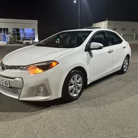 Toyota Corolla 2014