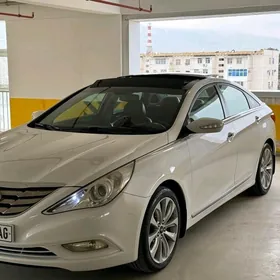 Hyundai Sonata 2010