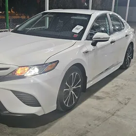 Toyota Camry 2019