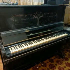 pianino