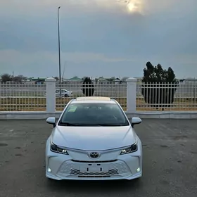 Toyota Corolla 2024