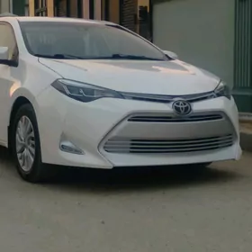 Toyota Corolla 2019