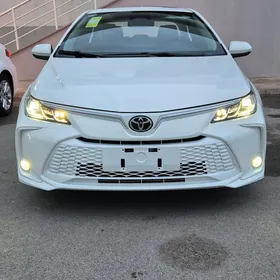 Toyota Corolla 2024