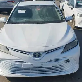 Toyota Camry 2019