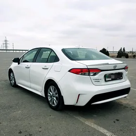 Toyota Corolla 2019