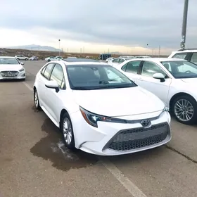 Toyota Corolla 2019