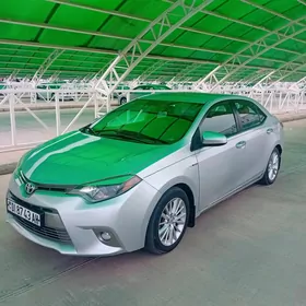 Toyota Corolla 2013