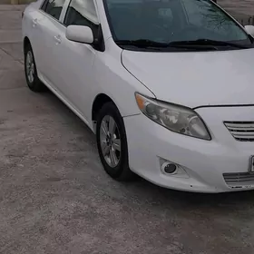 Toyota Corolla 2010