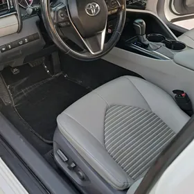 Toyota Camry 2019