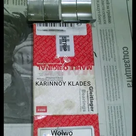 Wolwo Karinnoy klades