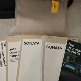 Hyundai Sonata kitap