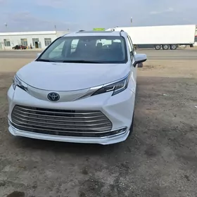 Toyota Sienna 2021