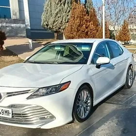 Toyota Camry 2019