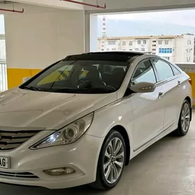 Hyundai Sonata 2010