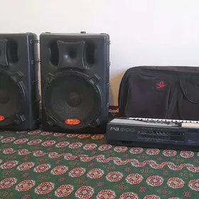 Korg Pa 800 we aparat kolonka