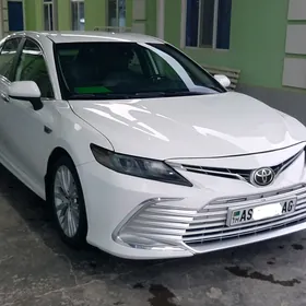 Toyota Camry 2019