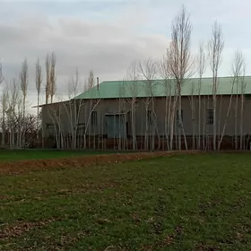satlyk jaý