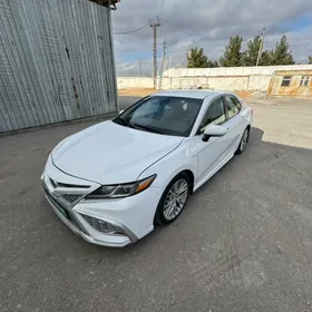 Toyota Camry 2019