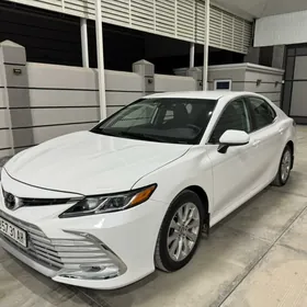 Toyota Camry 2019