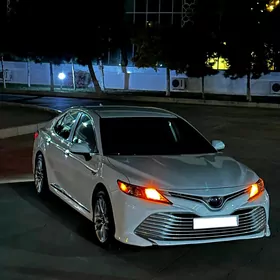 Toyota Camry 2019